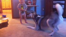 Baby and Husky talking and playing together!