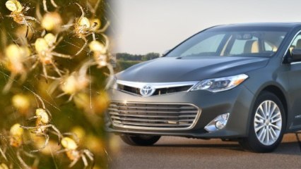 Toyota Recall Cites SPIDERS as Cause for Airbag Malfunction