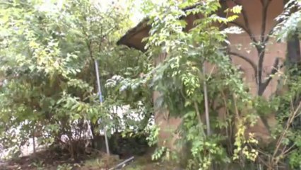 LES W-D.D. MICHOU NEWS - SCOOP DU 8 SEPTEMBRE 2013 :  RENOVATION DU KIOSQUE SAN CARLOS.