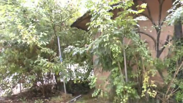 LES W-D.D. MICHOU NEWS - SCOOP DU 8 SEPTEMBRE 2013 : RENOVATION DU KIOSQUE SAN CARLOS.