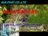 Tho chong tham nha o tai quan phu nhuan HCM-Best /// 0936 890585
