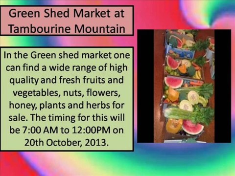 Upcoming Events at Mt Tambourine