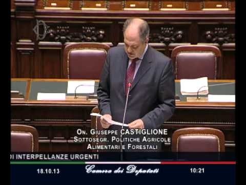 Roma - Camera - 17° Legislatura - 100° seduta (18.10.13)