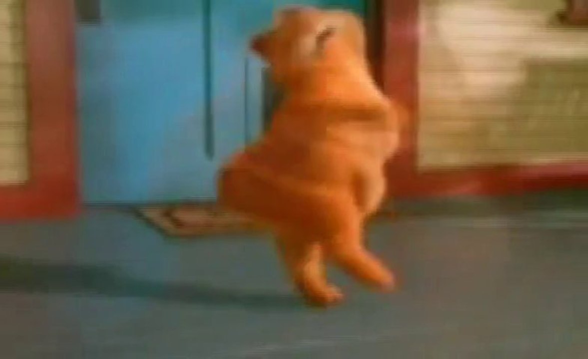 Garfield Şarkı Söylüyor Çok Komik Xd [Eksik Etek]