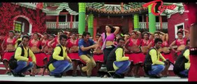 Bhai Movie Songs | Aibaaboi Nee Choopu | Nagarjuna | Richa Gangopadhyay