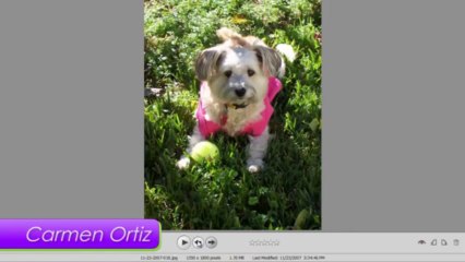 Lesbian Entrepreneurs are Inspired by Rescued Dog