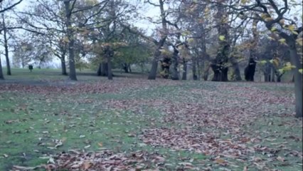 Motivación - La persona más importe