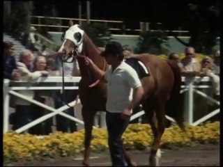 Les routes du Paradis S1 - 02 Une bonne action partie 2