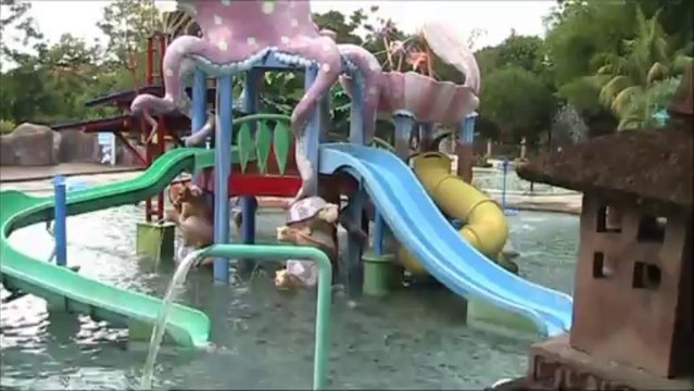 World Class Amusements - Award Winning Bali Safari and Marine Park - Part_3