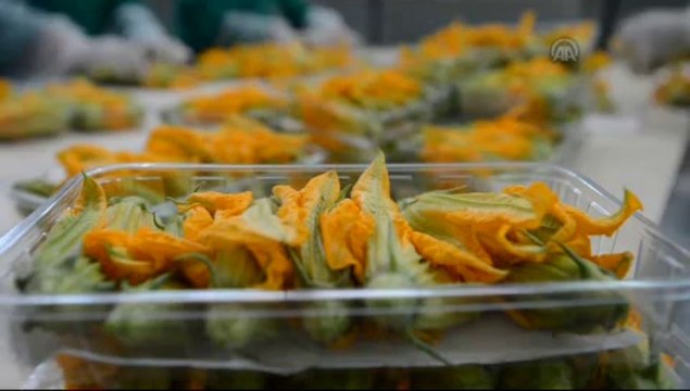 Sosyeteye çiçek yediriyor