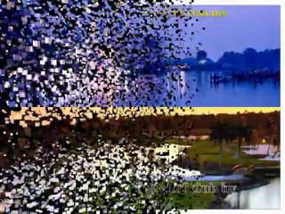 Condominiums playa del carmen