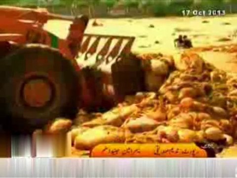 Governor Dr. Ishrat-ul-Ebad Khan inspects municipal operations on Eid-ul-Adha