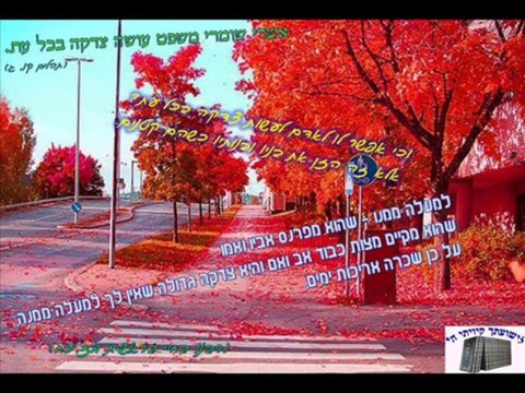 ברוך הבא fijne week