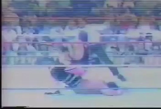 Bret Hitman Hart vs Hercules - WWF Intercontinental Title