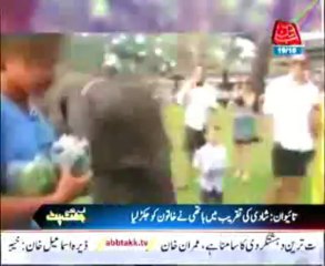 Taiwan elephant captured woman in wedding ceremony