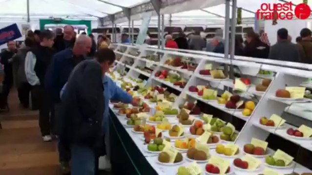 Foire de la pomme - Foire de la pomme