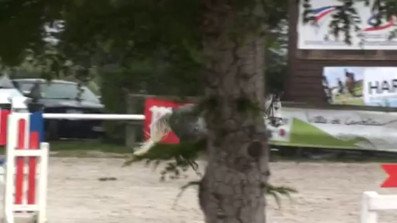 Taj Mahal du Luot par Kingstown Rory - E1 Canteleu 19 oct 2013