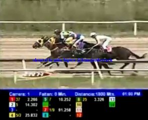 LA RINCONADA 1 CARRERA SABADO 19 DE OCTUBRE DEL 2013