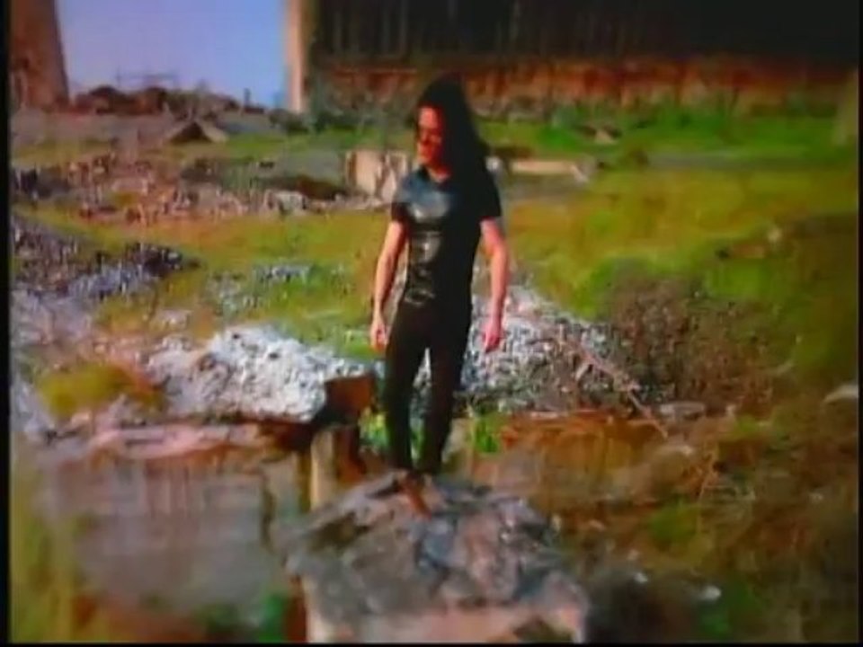 DANZIG i dont mind the pain