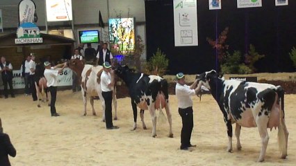 championne espoir  regional  PONTIVY 2013