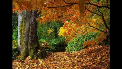 JUÍZES CAP 16 - A BIBLIA NA LINGUAGEM DE HOJE