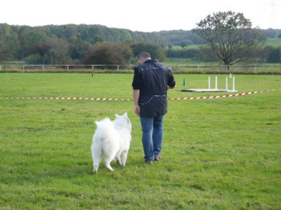 club canin de landres