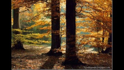 JUÍZES CAP 20 - A BÍBLIA NA LINGUAGEM DE HOJE