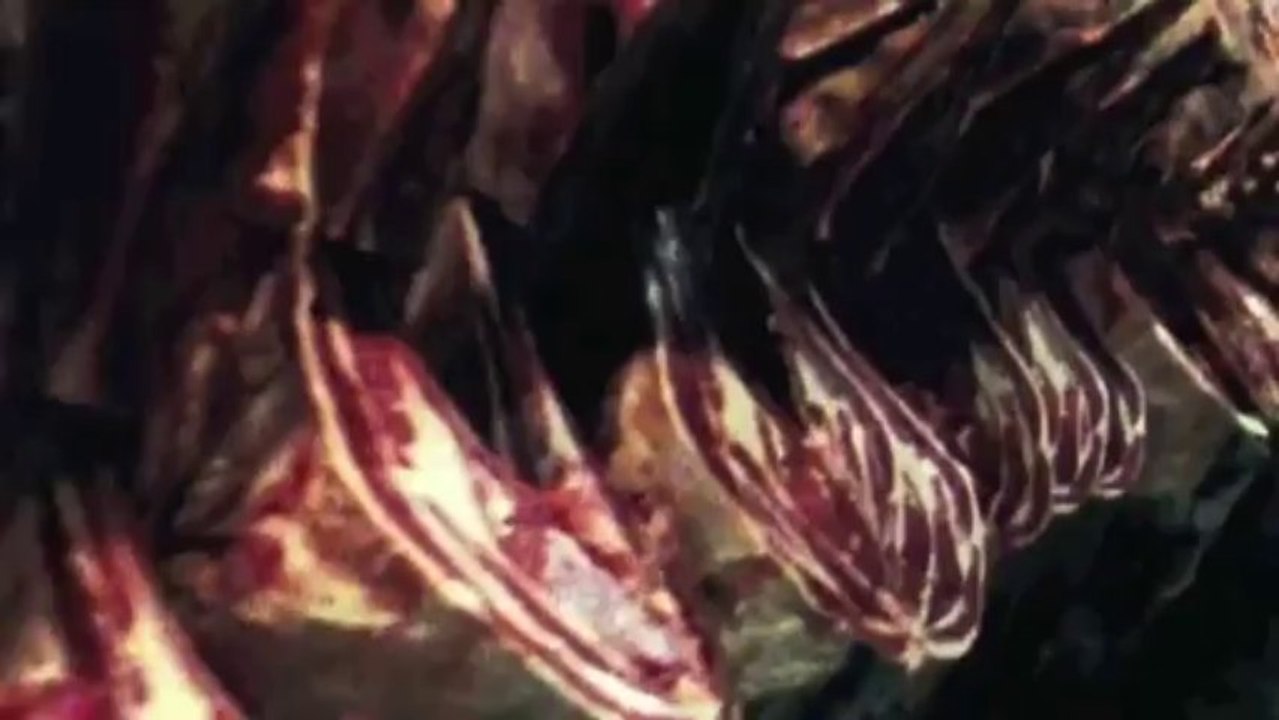 Du fühlst es schon dein ganzes Leben lang [Deutsche Version]