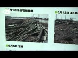 Japanese farmers face post-tsunami challenges