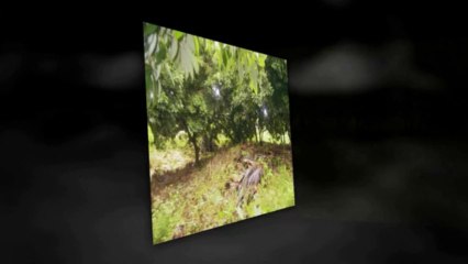 Terrain à vendre, St Benoit (974), 117700€