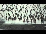 Spencer Tunick photographs thousands during Dead Sea sunrise