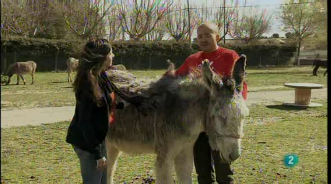 Laura en Burrolandia
