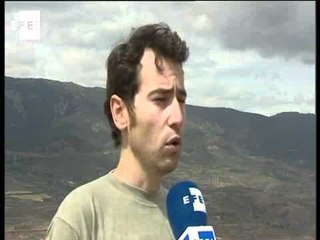 Vuelven los rebaños como fieles colaboradores de mantenimiento de cortafuegos