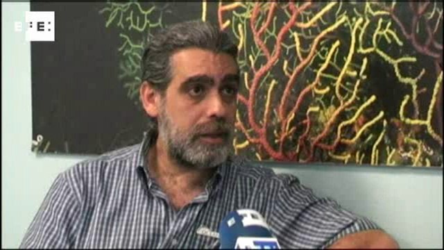 La deforestación submarina provoca una pérdida anual del 5 % de los bosques marinos