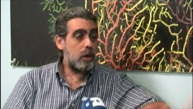 La deforestación de los fondos marinos tan grave como la de los bosques