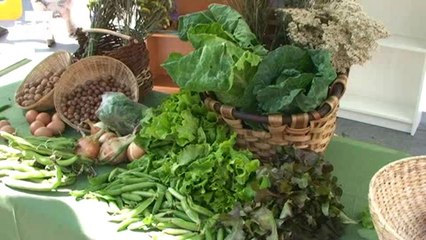 EFEverde Los agricultores llevan al huerto al consumidor con la plataforma ARCo