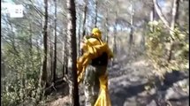 El incendio de Llombai ya no presenta llamas tras quemar 67 hectáreas