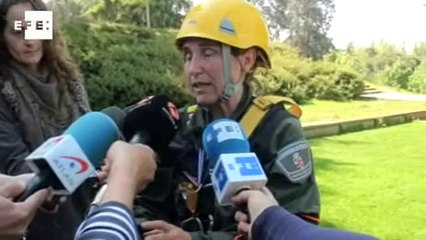 Anillan dos pollos de halcón peregrino nacidos en la torre del Museo de América en Madrid