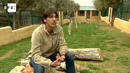 Cientos de animales salvajes son actores de publicidad, cine o tv en España