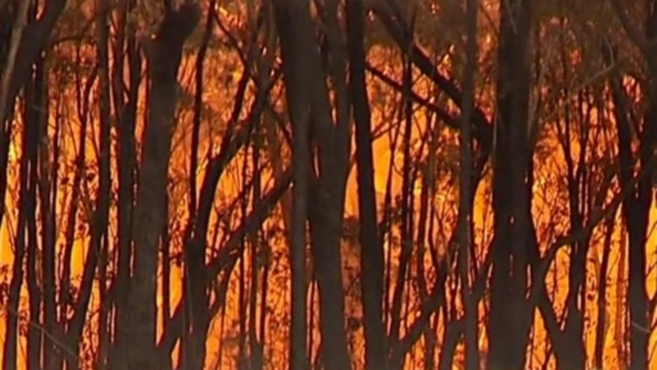 Bushfire weather warning