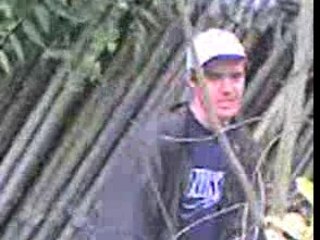 la dance de larbre -vin's