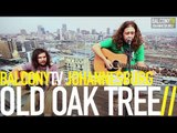 OLD OAK TREE - WHERE DID THE LIGHT GO (BalconyTV)