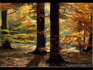 RUTE CAP 1 - A BIBLIA NA LINGUAGEM DE HOJE