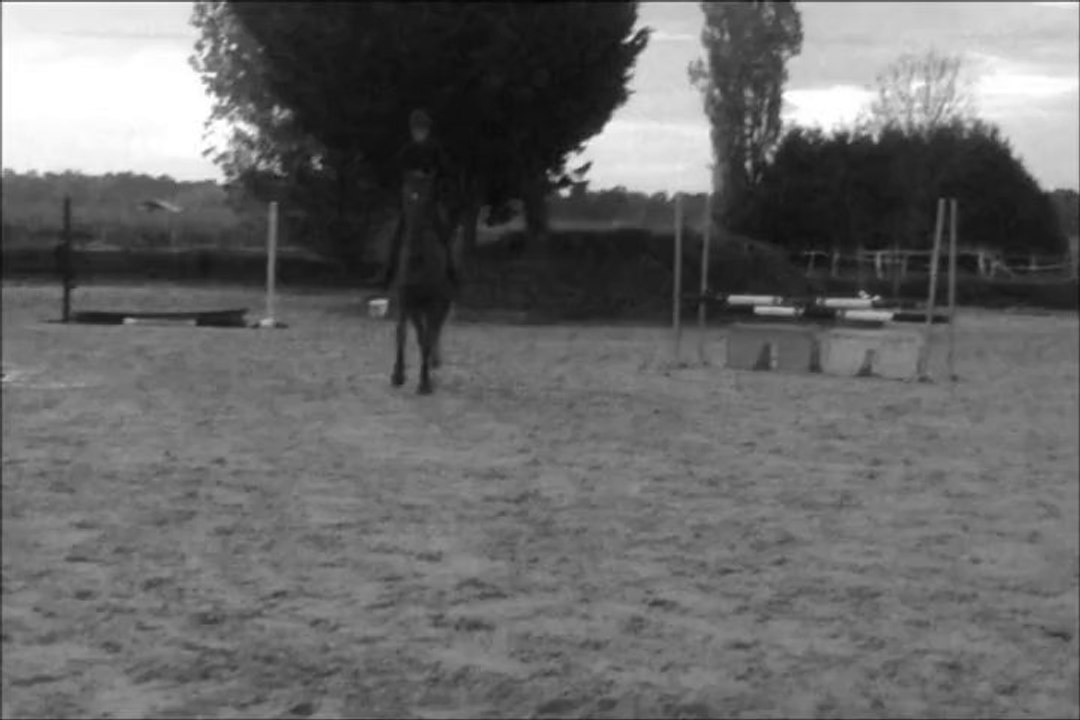 Gara travail mi oct 2013-2