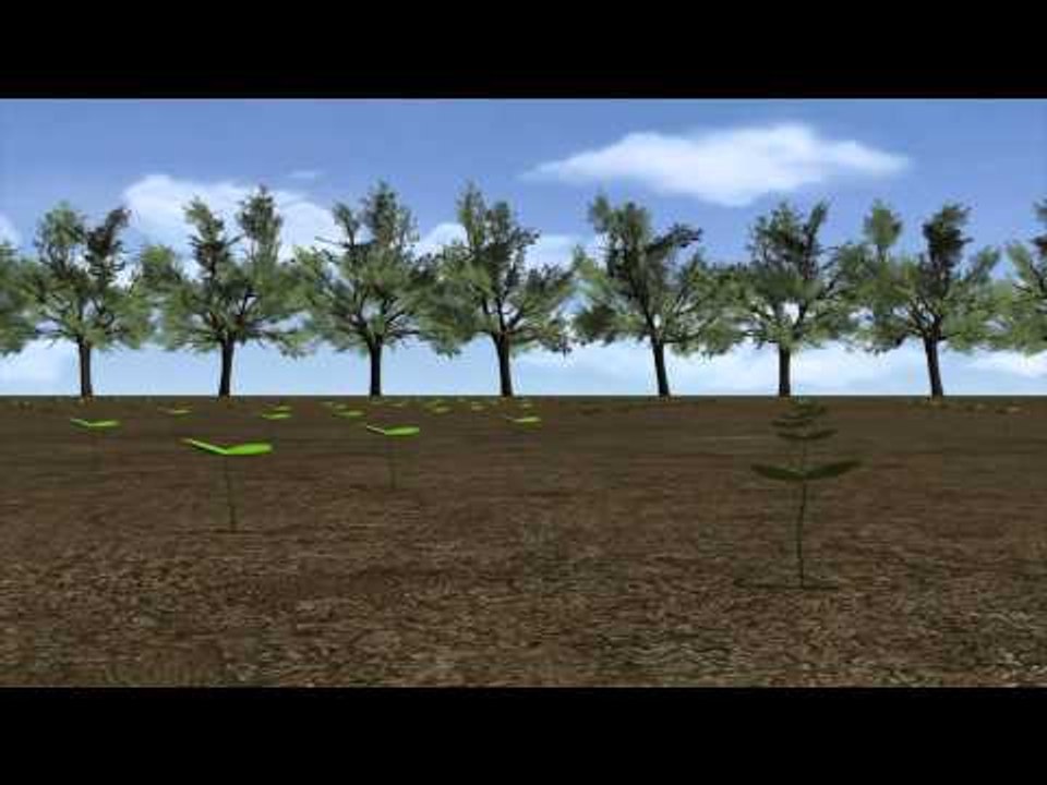 Thailand seed bombs: aerial reforestation to foster new growth on damaged land by 2017