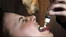 Weird food: Deer semen drink on menu at NZ bar