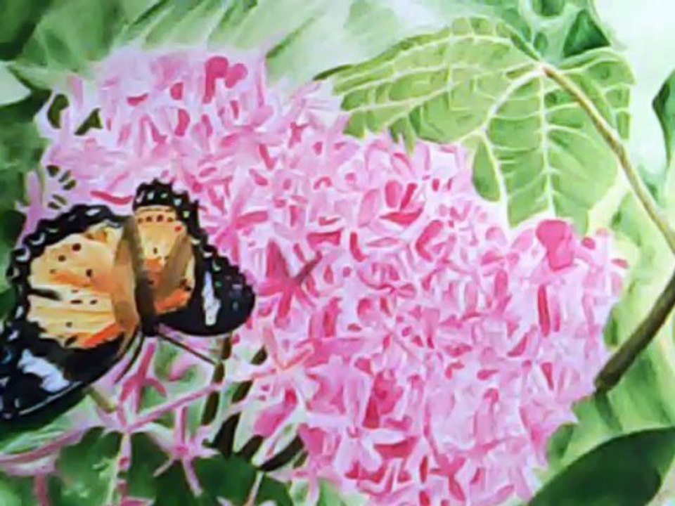 Papillon - Marqueur Copic ciao