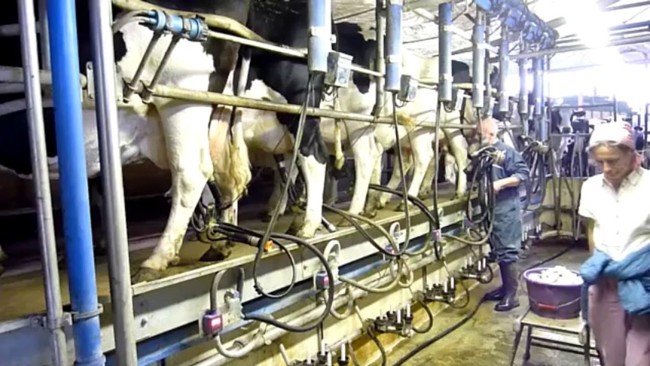 Visite de la ferme de Jean-Marie Bruyelles