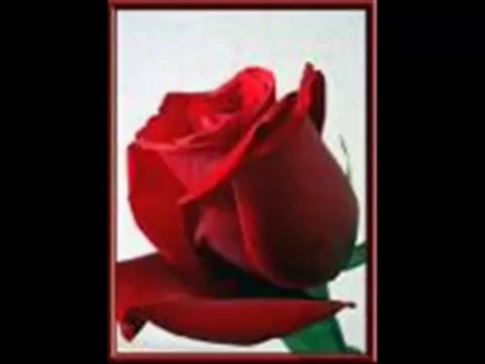 En Cok indirilen Karisik mp3