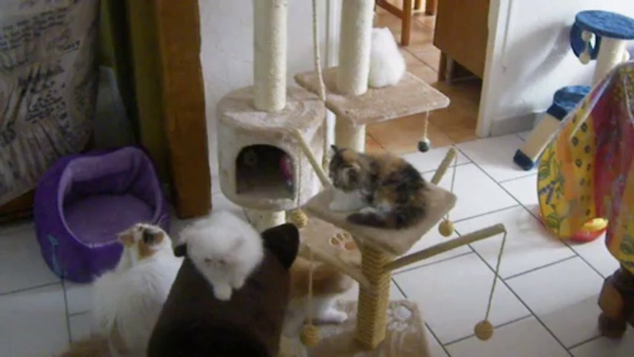 IMGP2267